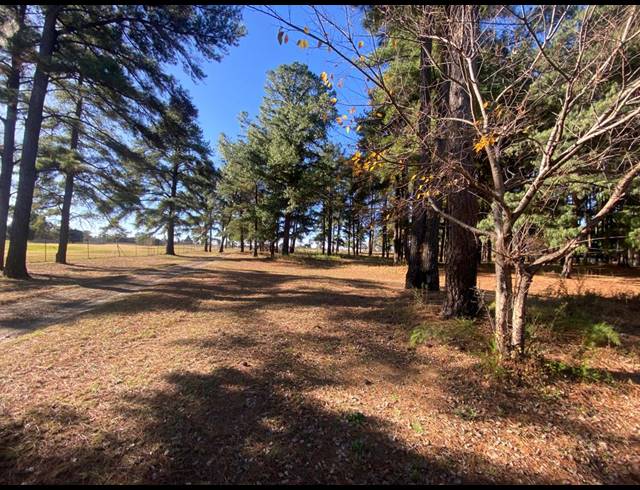 4HA FARM FOR SALE IN DRIEFONTEIN